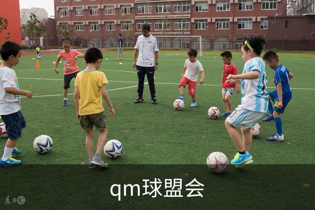 qm球盟会公司简介图片